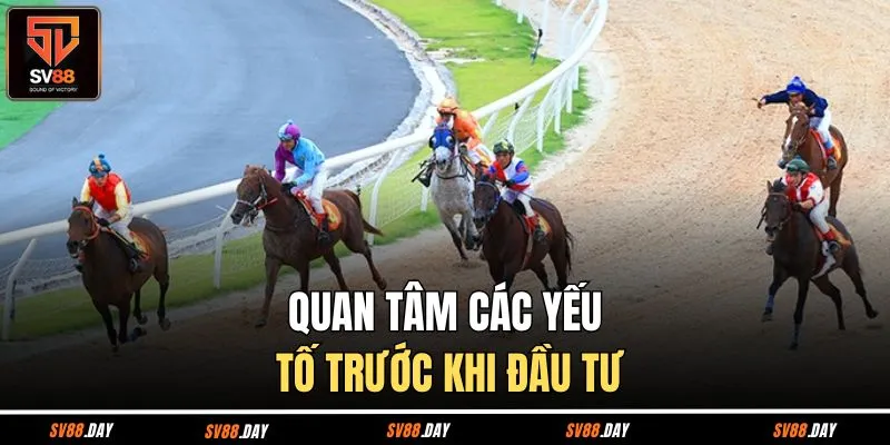 Quan tâm các yếu tố trước khi đầu tư